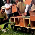Celebran 10 años de la proclamación del Joropo Tuyero como patrimonio en Cúa