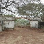 ¡El Joropo Central llama a la Solidaridad! apoyo para la Cultora Yerasmit Sequera