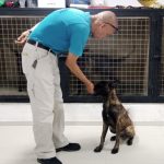 Yare se movilizó en respaldo al Día Internacional de la Eliminación de la Violencia contra la Mujer