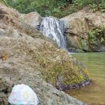 A paso de caballero: “El Negro Julio” y la maestría del baile tuyero