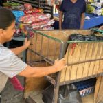 Celebran Año Jubilar Franciscano en Independencia